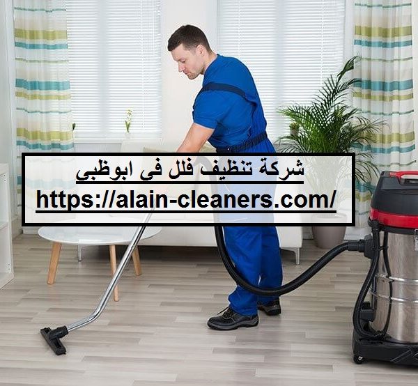 شركة تنظيف فلل في ابوظبي