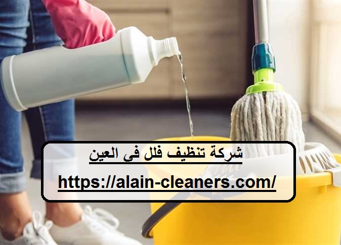 شركة تنظيف فلل في العين