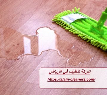 شركة تنظيف في الرياض