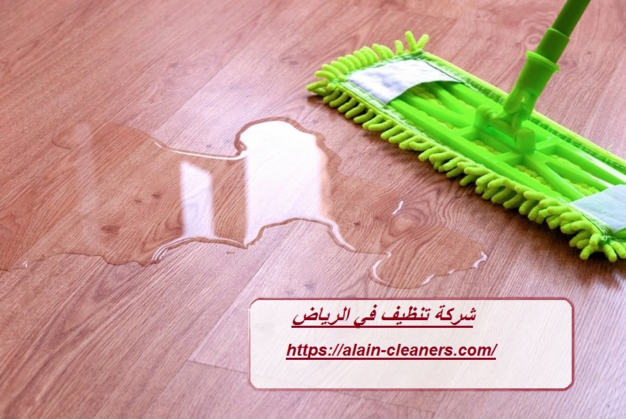 شركة تنظيف في الرياض