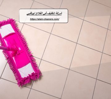 شركة تنظيف في الفلاح ابوظبي