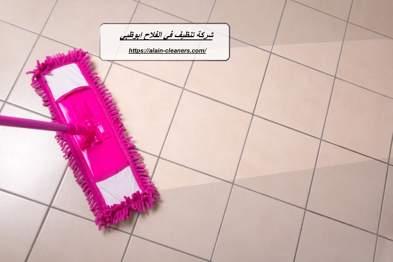 شركة تنظيف في الفلاح ابوظبي