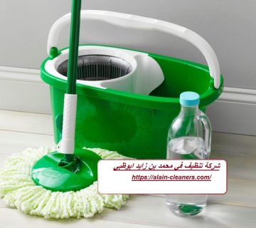 شركة تنظيف في محمد بن زايد ابوظبي