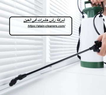 شركة رش حشرات في العين