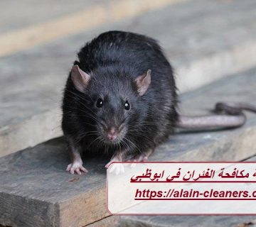 شركة مكافحة الفئران في ابوظبي